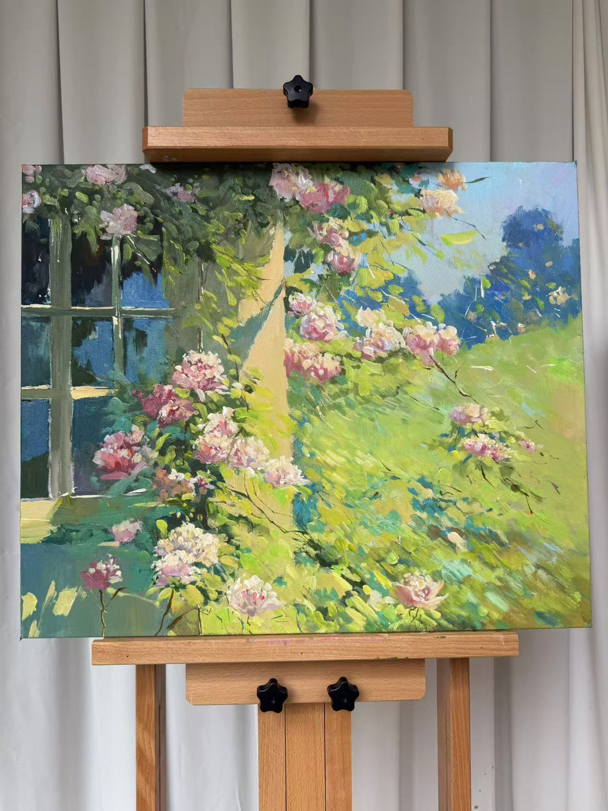 Roses in the Golden Light